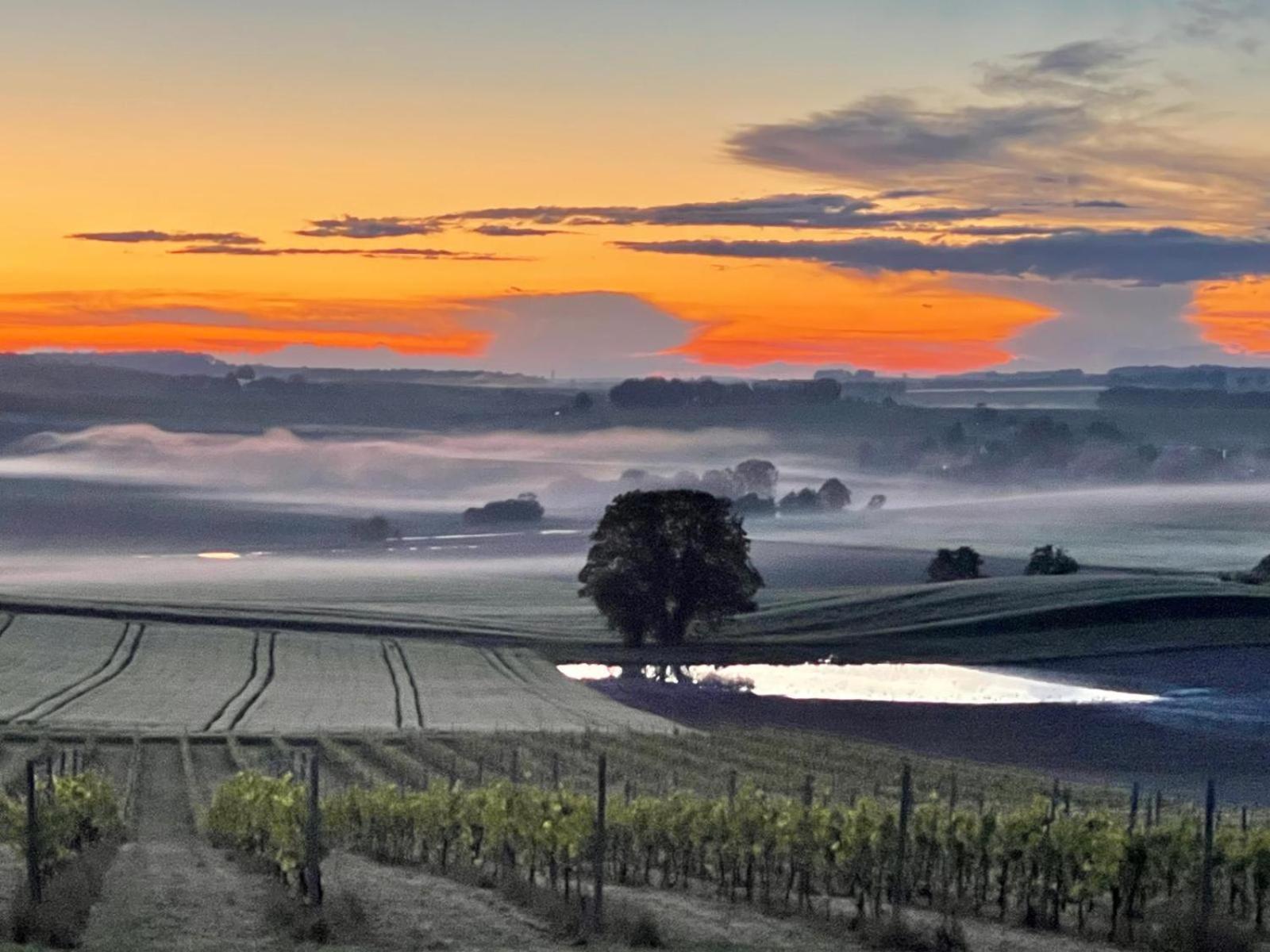 Paradis Des Vignes Birac  Bilik gambar