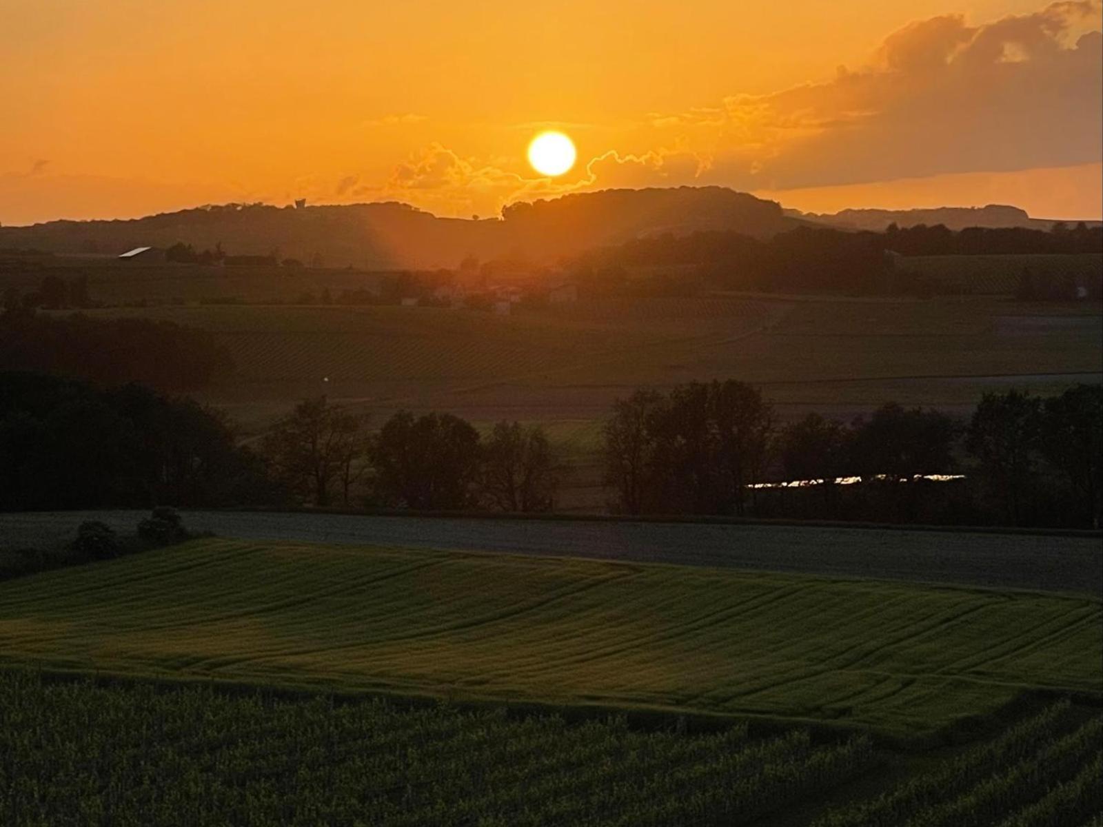 Paradis Des Vignes Birac  Bilik gambar
